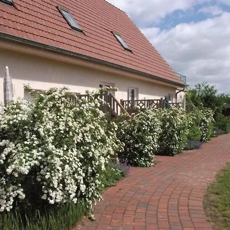 In Der Mecklenburger Seenplatte Apartment Buchholz (Mecklenburg-Vorpommern)
